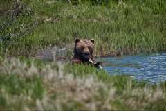 Alaska_2018_2459