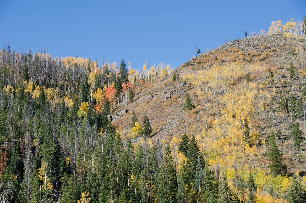 fall_2019-6564