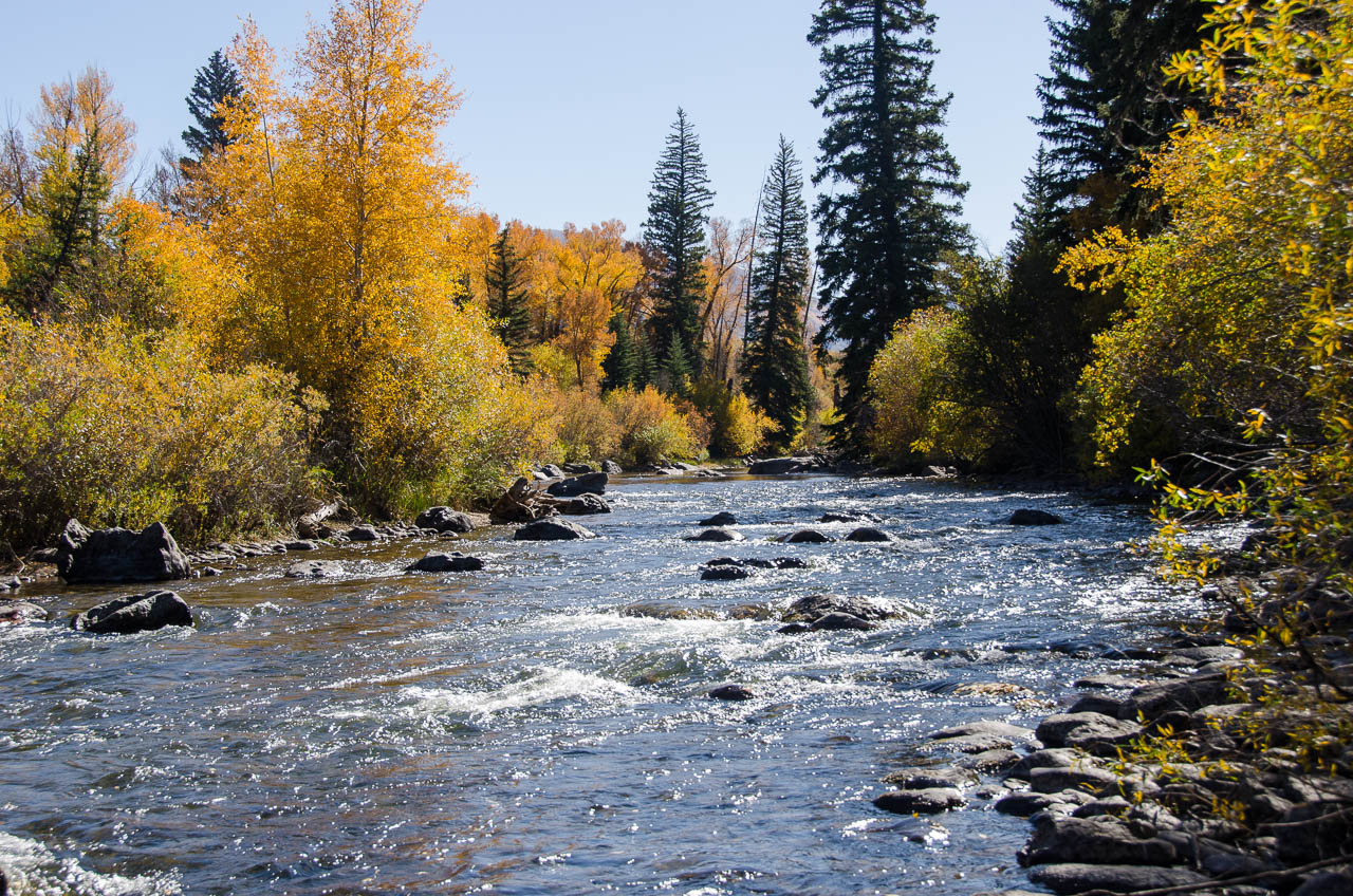 fall_2019-6583