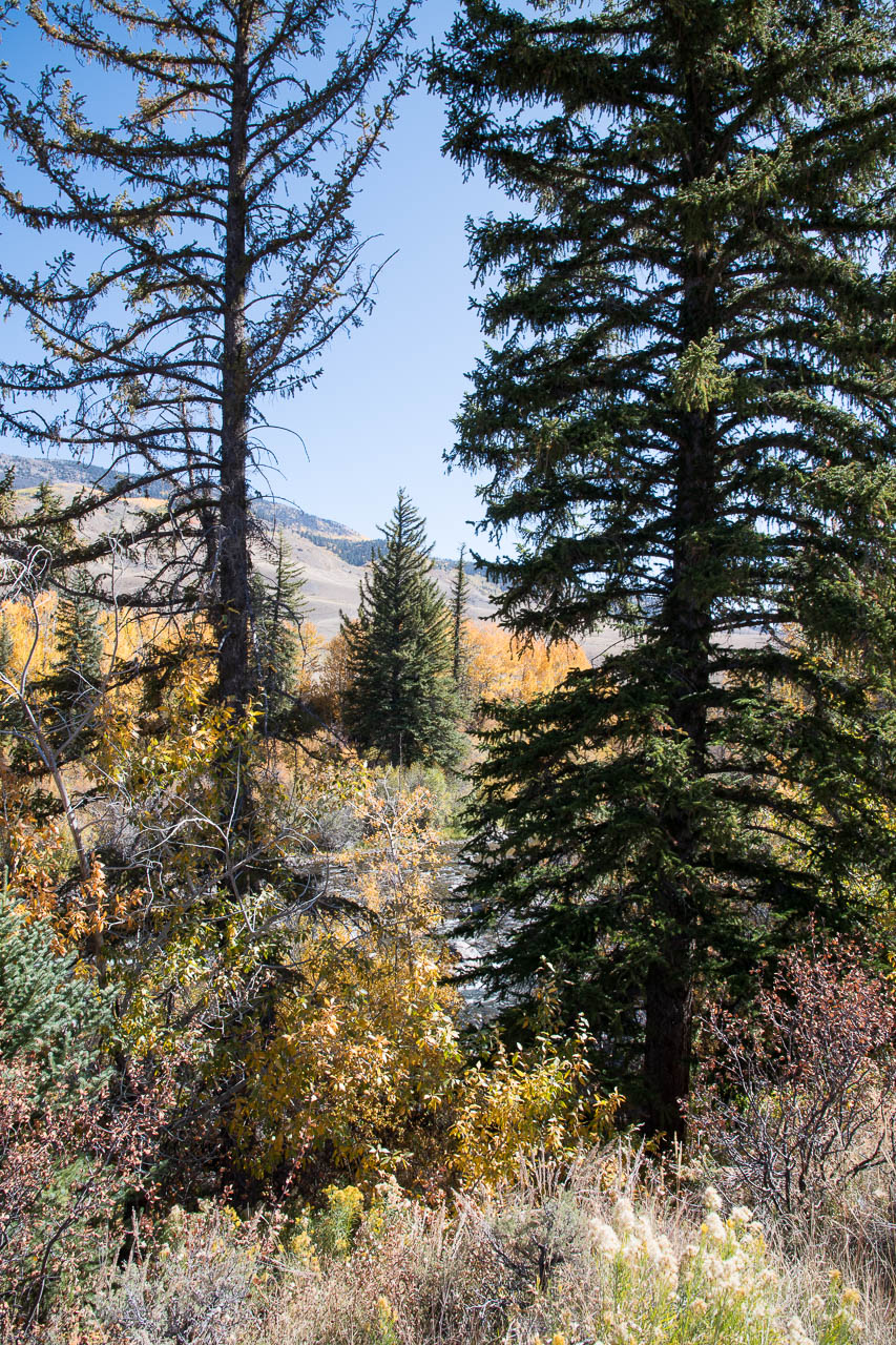 fall_2019-6592
