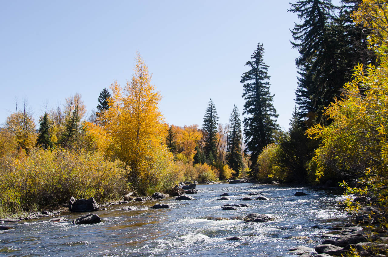 fall_2019-6594