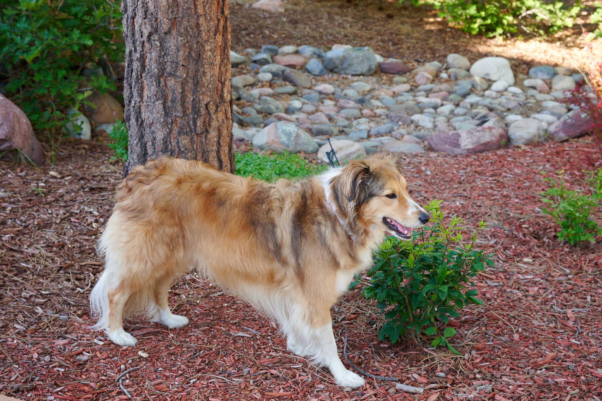 Missy_2023-01-01_0006