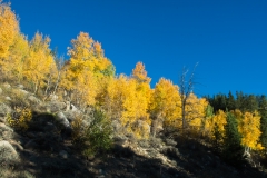 fall_2014-1