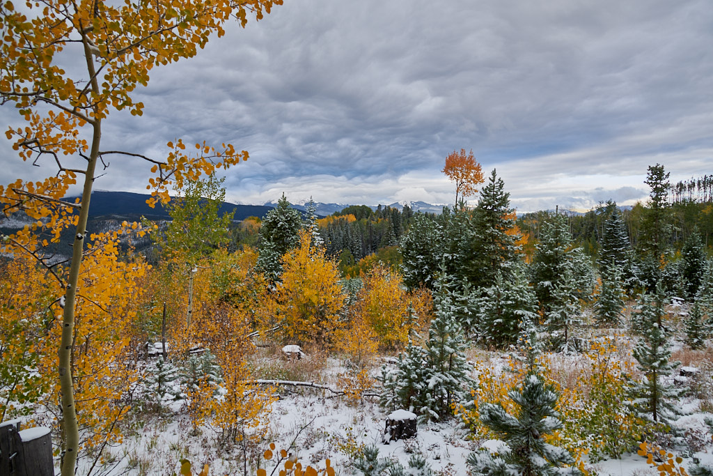 Corona_pass_20210920_0009