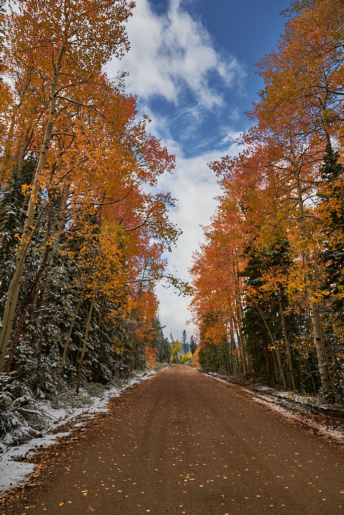 Corona_pass_20210920_0092