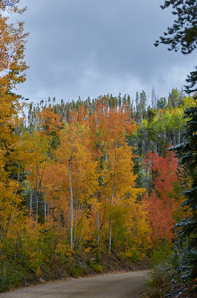 Corona_pass_20210920_0270