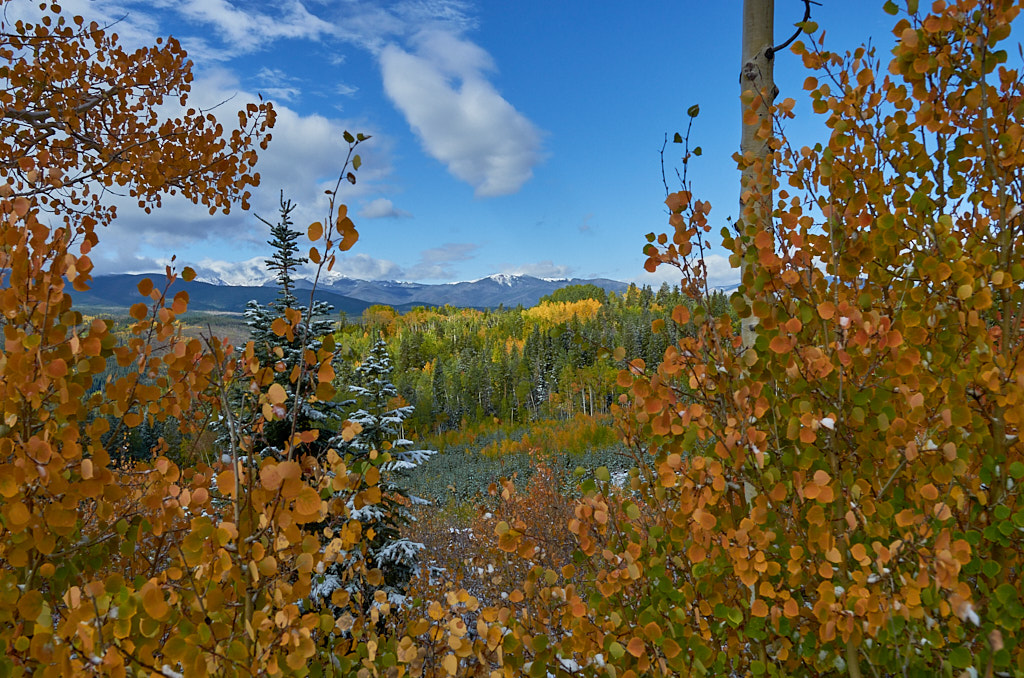 Corona_pass_20210920_0290
