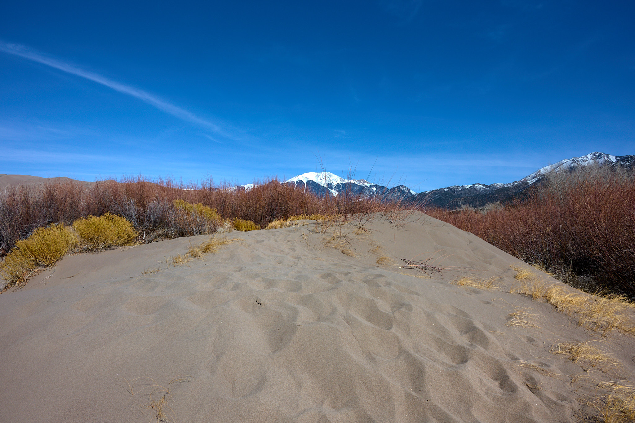 Great_Sand_Dunes_NP_2024-02-24_0036
