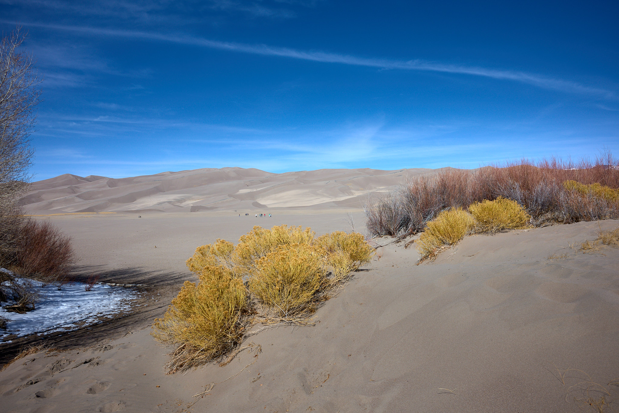 Great_Sand_Dunes_NP_2024-02-24_0037