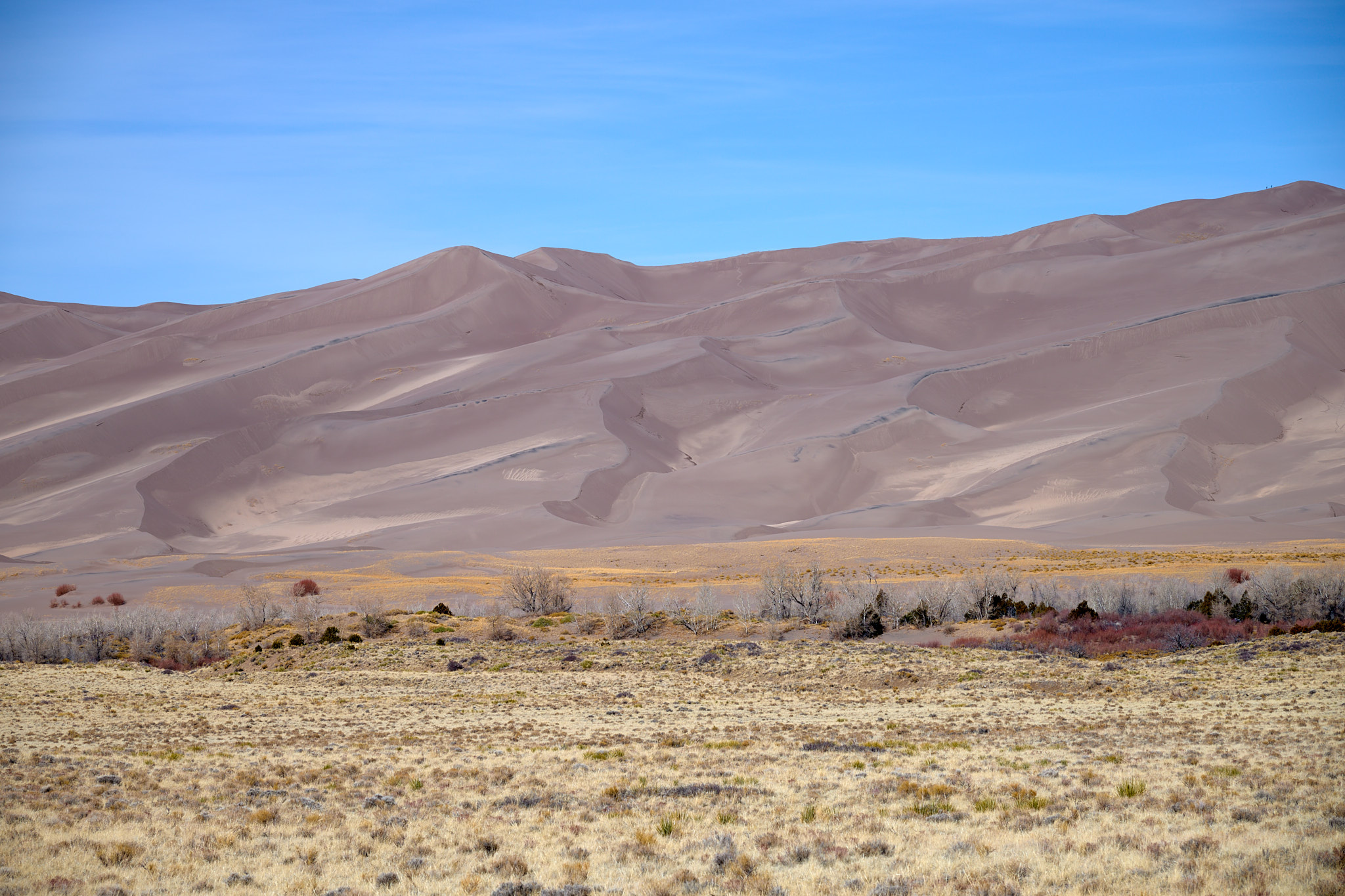 Great_Sand_Dunes_NP_2024-02-24_0106