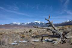 Great_Sand_Dunes_NP_2024-02-24_0127