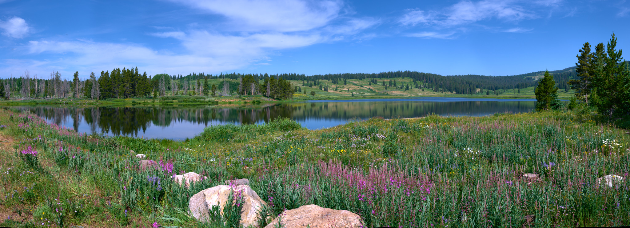 dumont_lake_2025-07-17_0092_Panorama