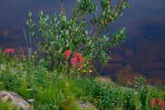 dumont_lake_2025-07-17_0021