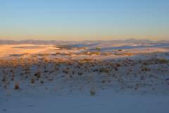White_Sands_NP_2025-03-10_1171