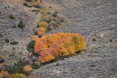 Wyoming_fall_2021_0165